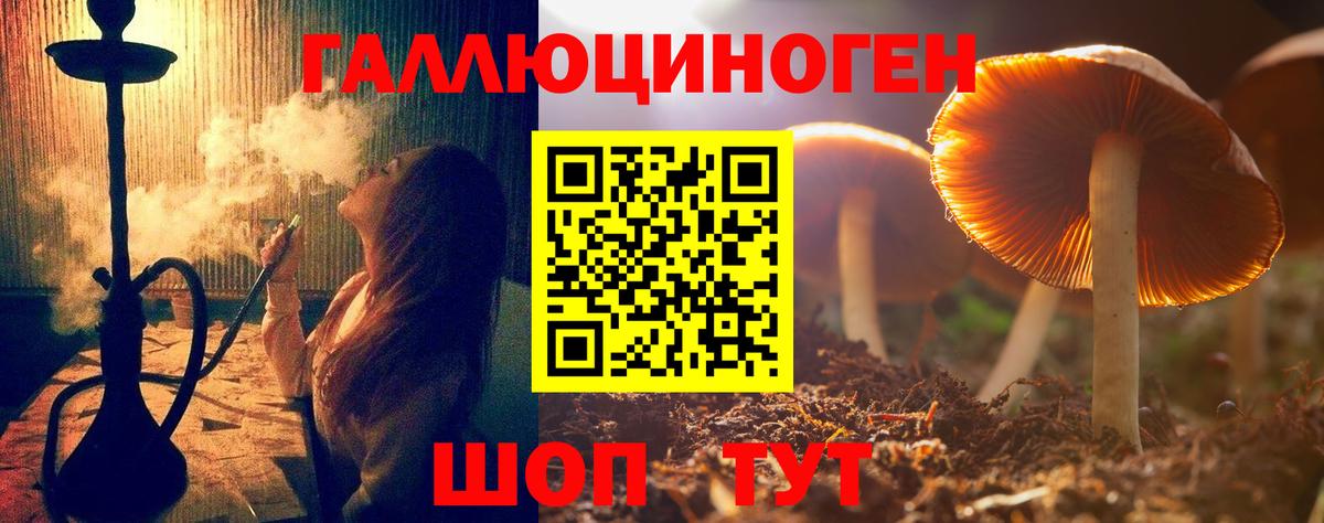 Галлюциногенные грибы MAGIC MUSHROOMS  Вход с VPN  Кингисепп 
